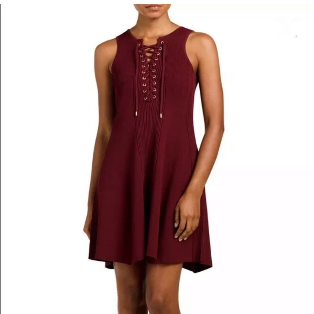 Torn by Ronny Kobo Lace Up Sleeveless Dress